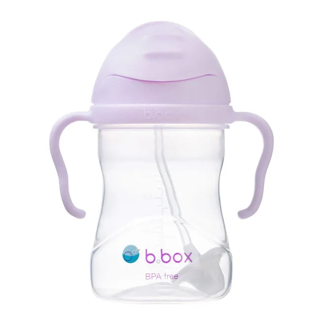 Bbox Sippy Straw Cup 240ml - Boysenberry