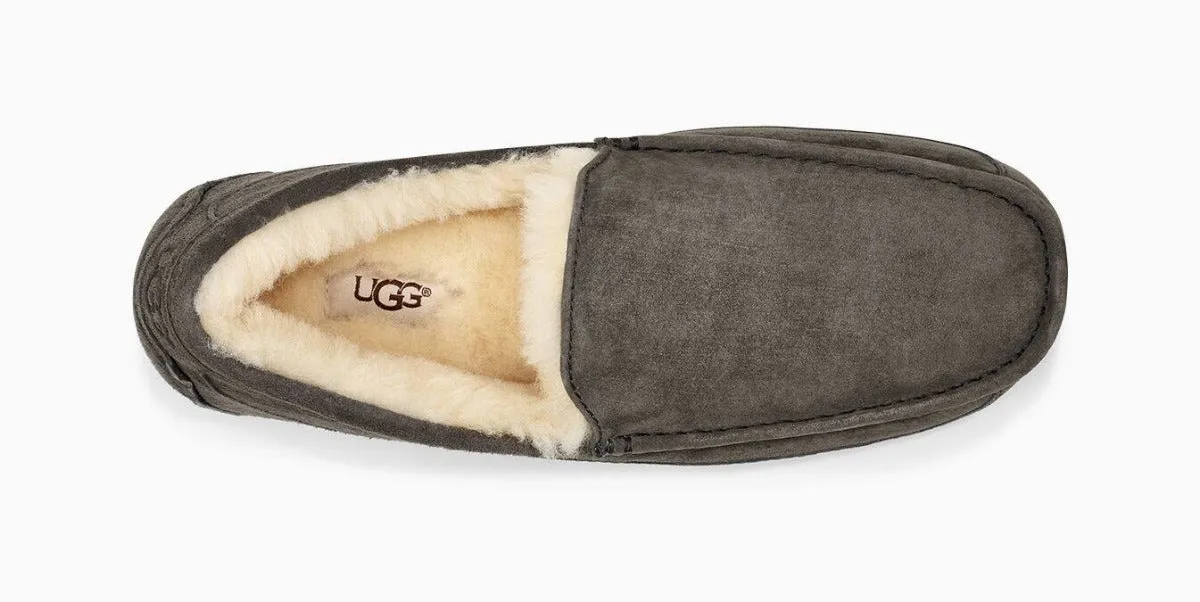 UGG Ascot