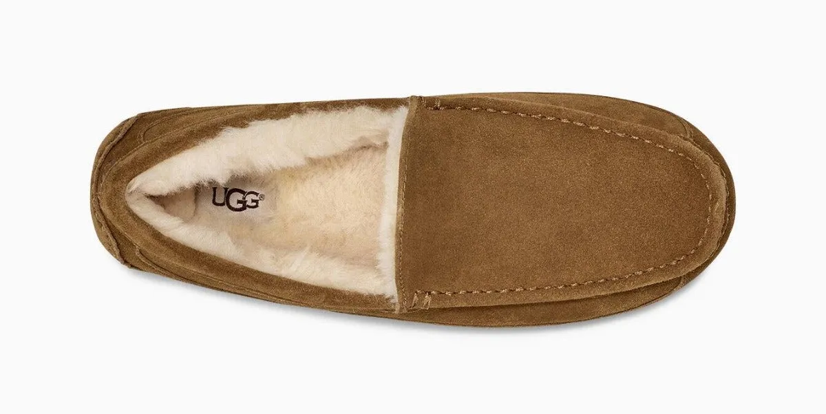 UGG Ascot